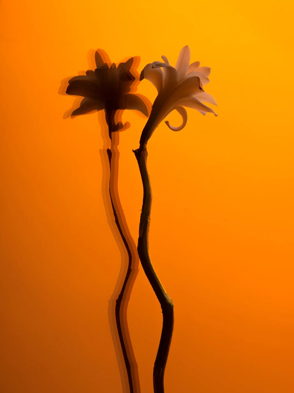 Tubéreuse Impériale Hair Perfume