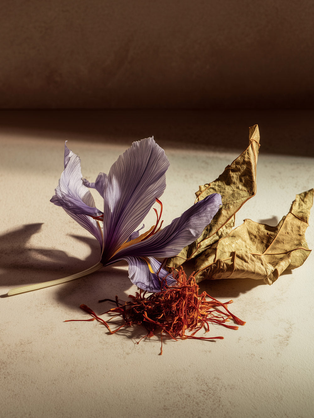 Tobacco Memories - Eau de Parfum