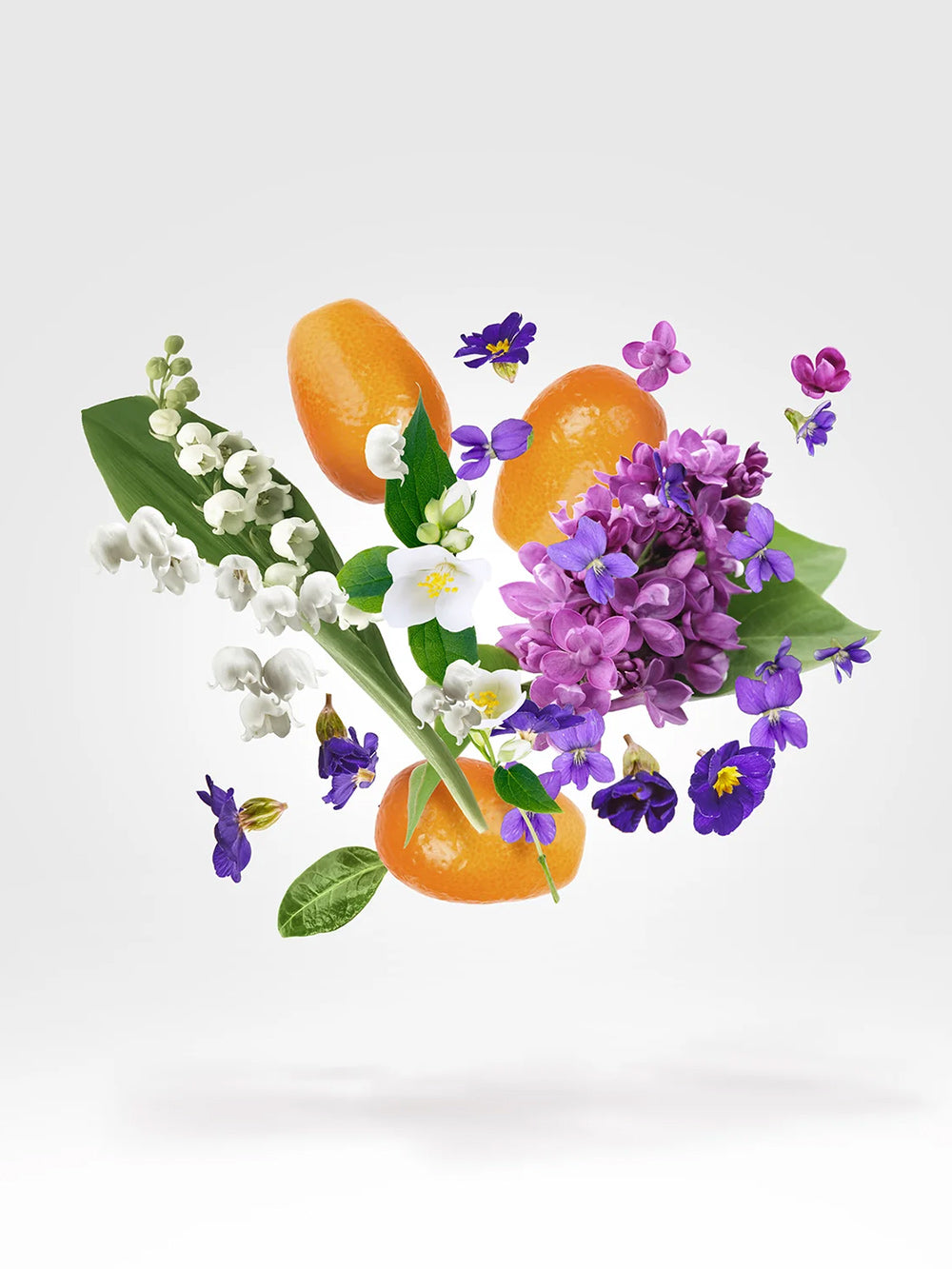 Dama Bianca Eau de Parfum