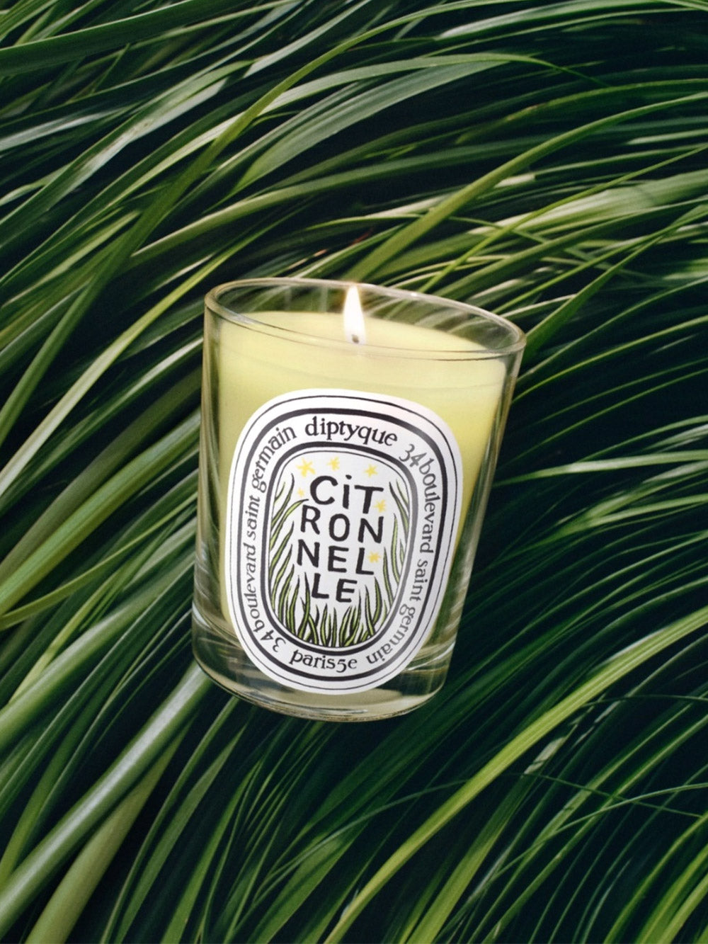 Citronnelle (Zitronengras) Kerze - Limited Edition