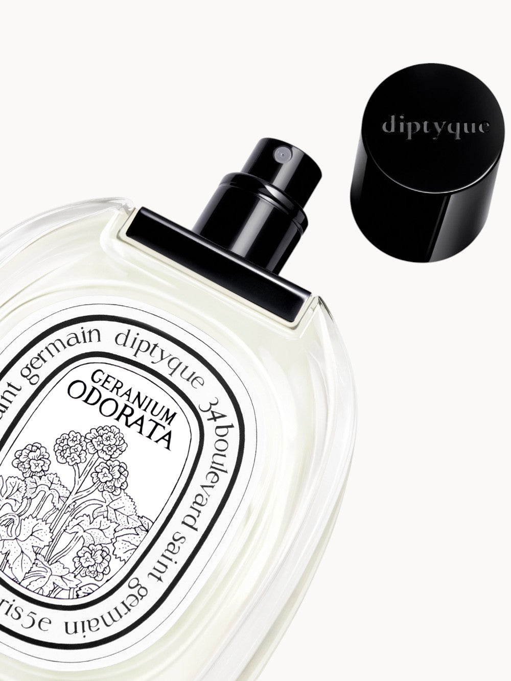 Geranium Odorata Eau de Toilette