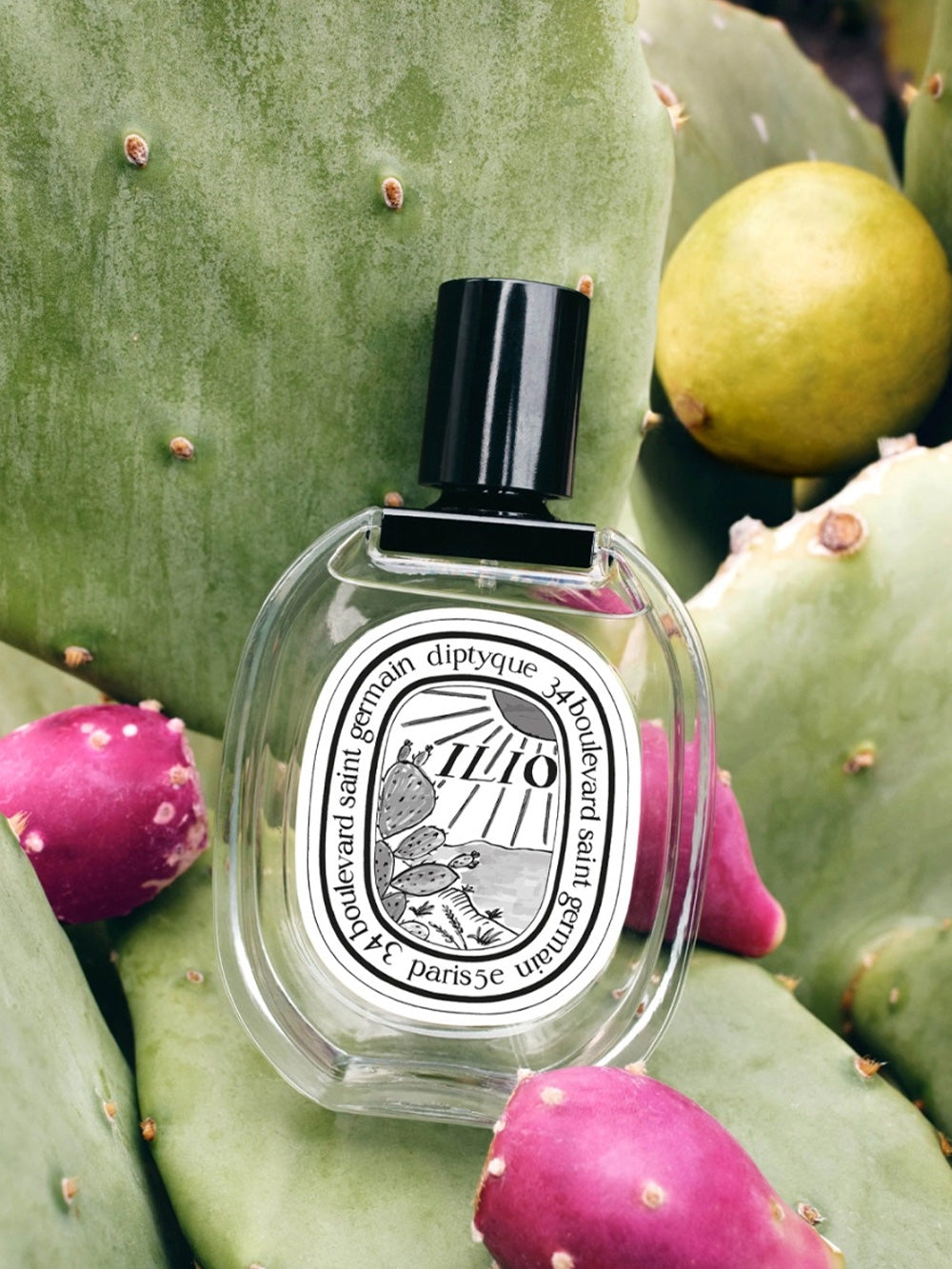 Ilio - Eau de Toilette