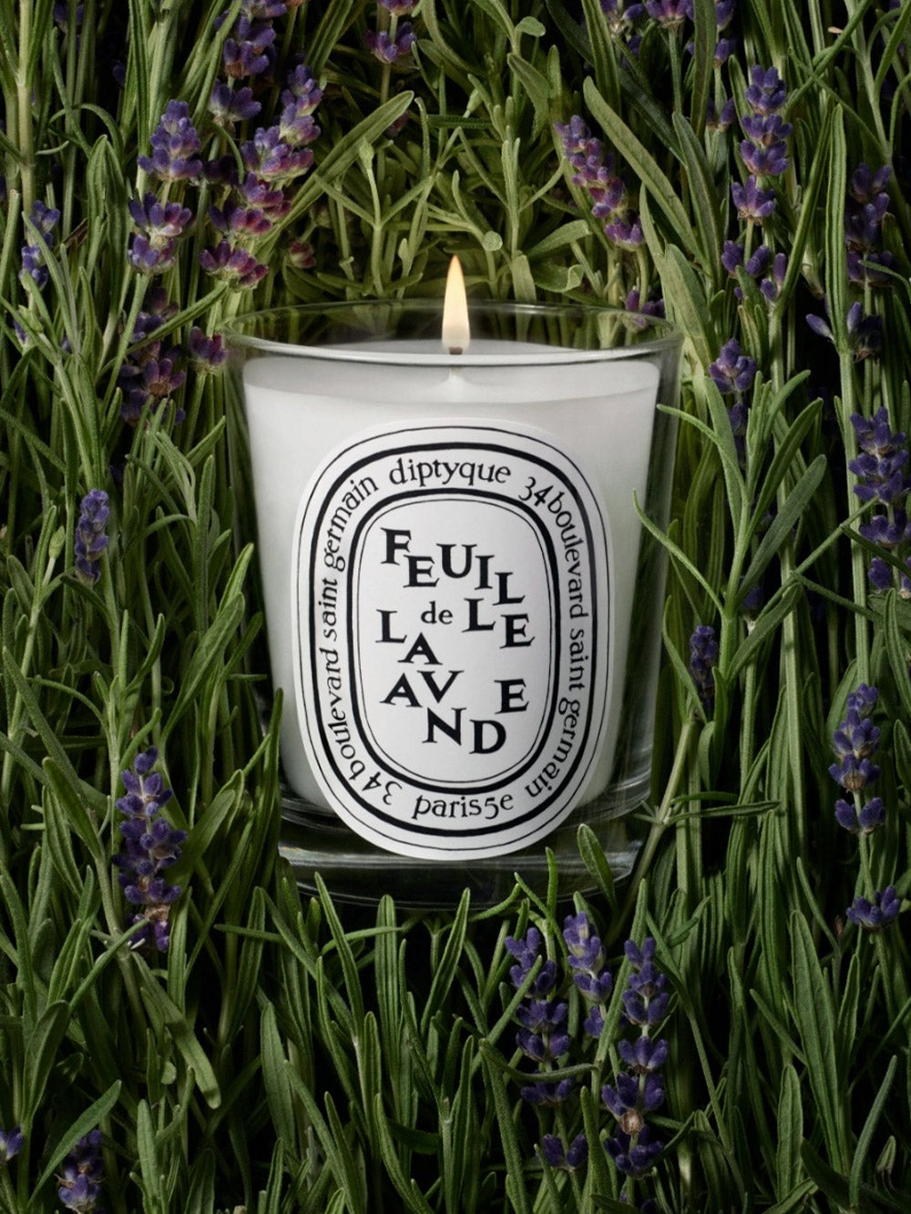 Kerze Feuille de Lavande