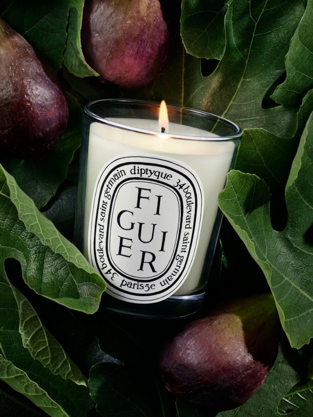Kerze Figuier