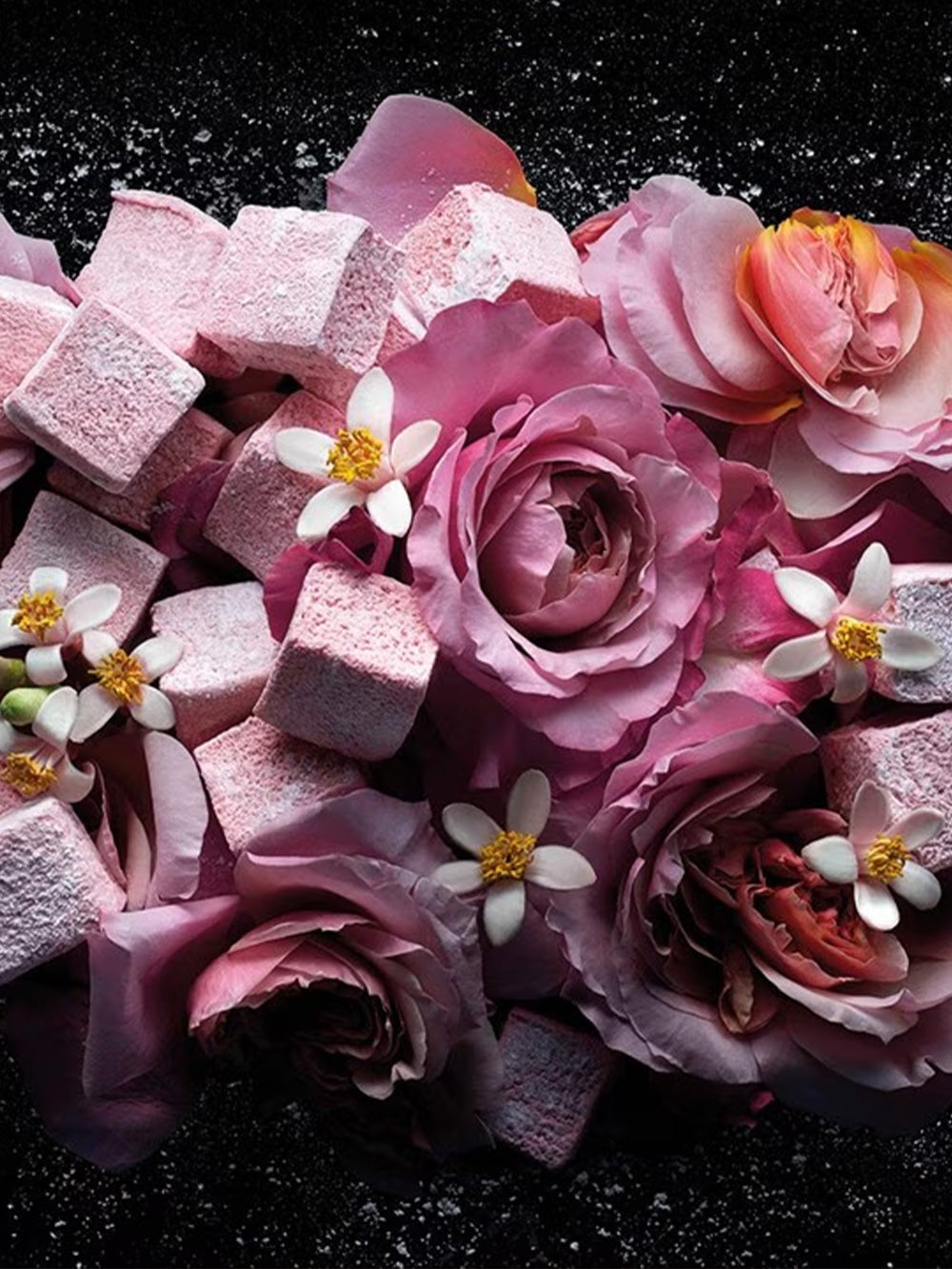 Love, don't be shy Refill