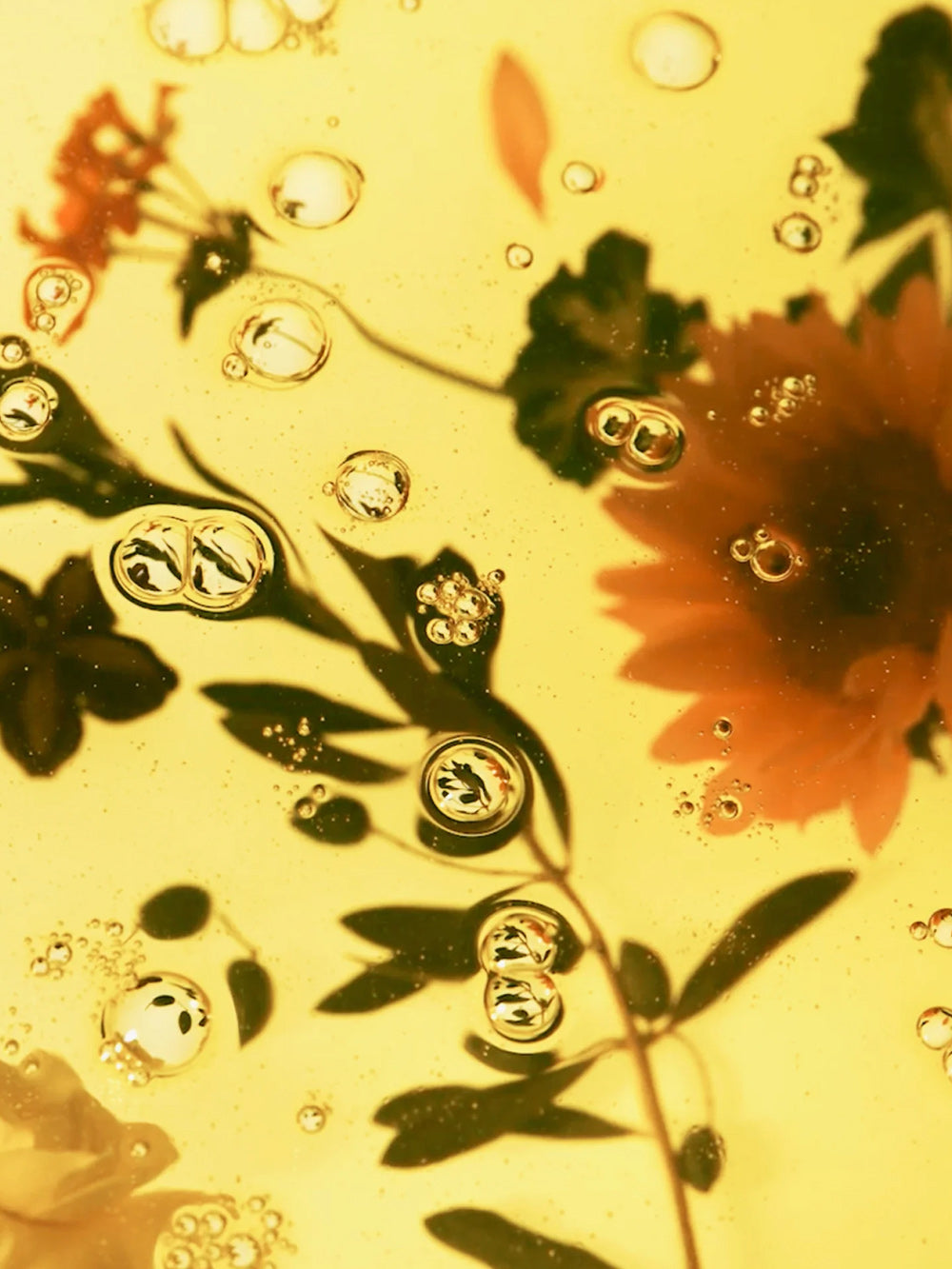 Nourishing Oil Cleanser