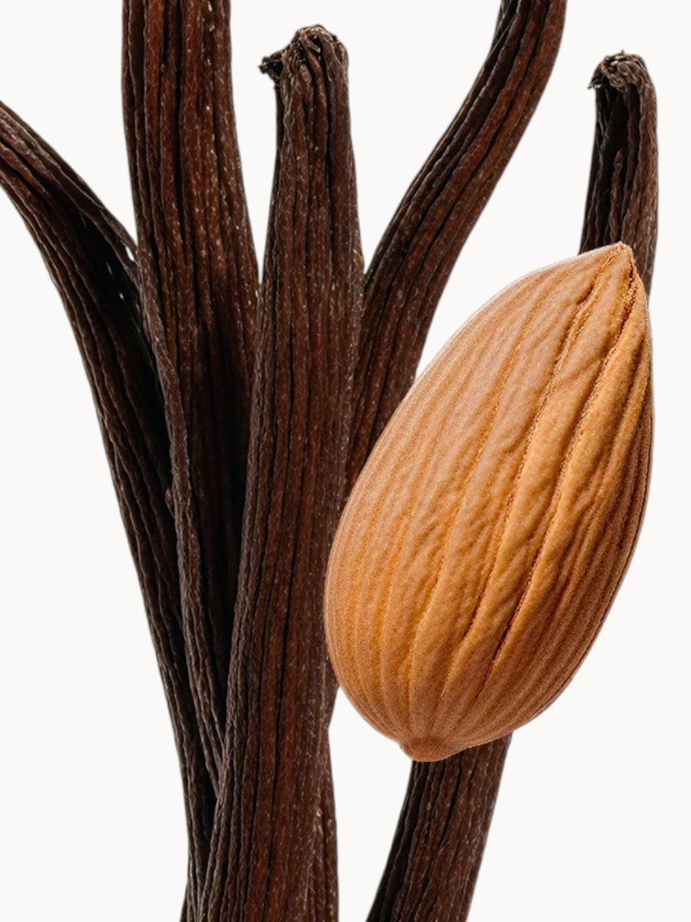 Pegasus Eau de Parfum