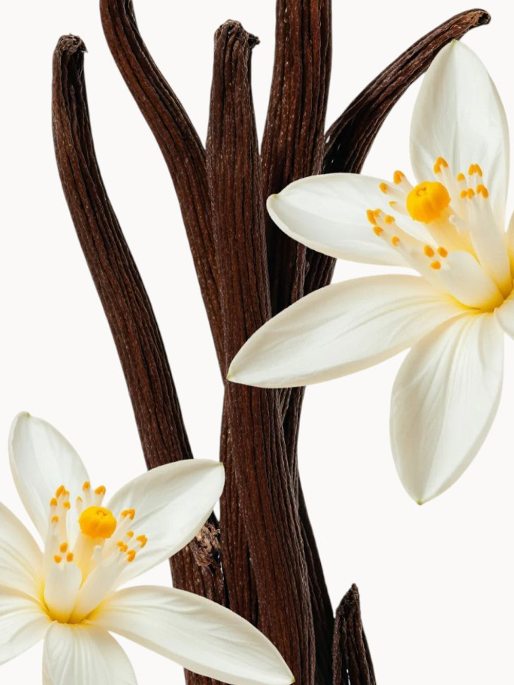 Althair Eau de Parfum