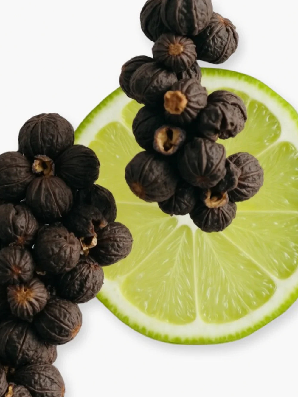 Castley Eau de Parfum