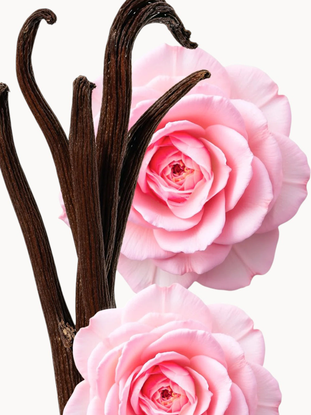 Delina Exclusif Eau de Parfum