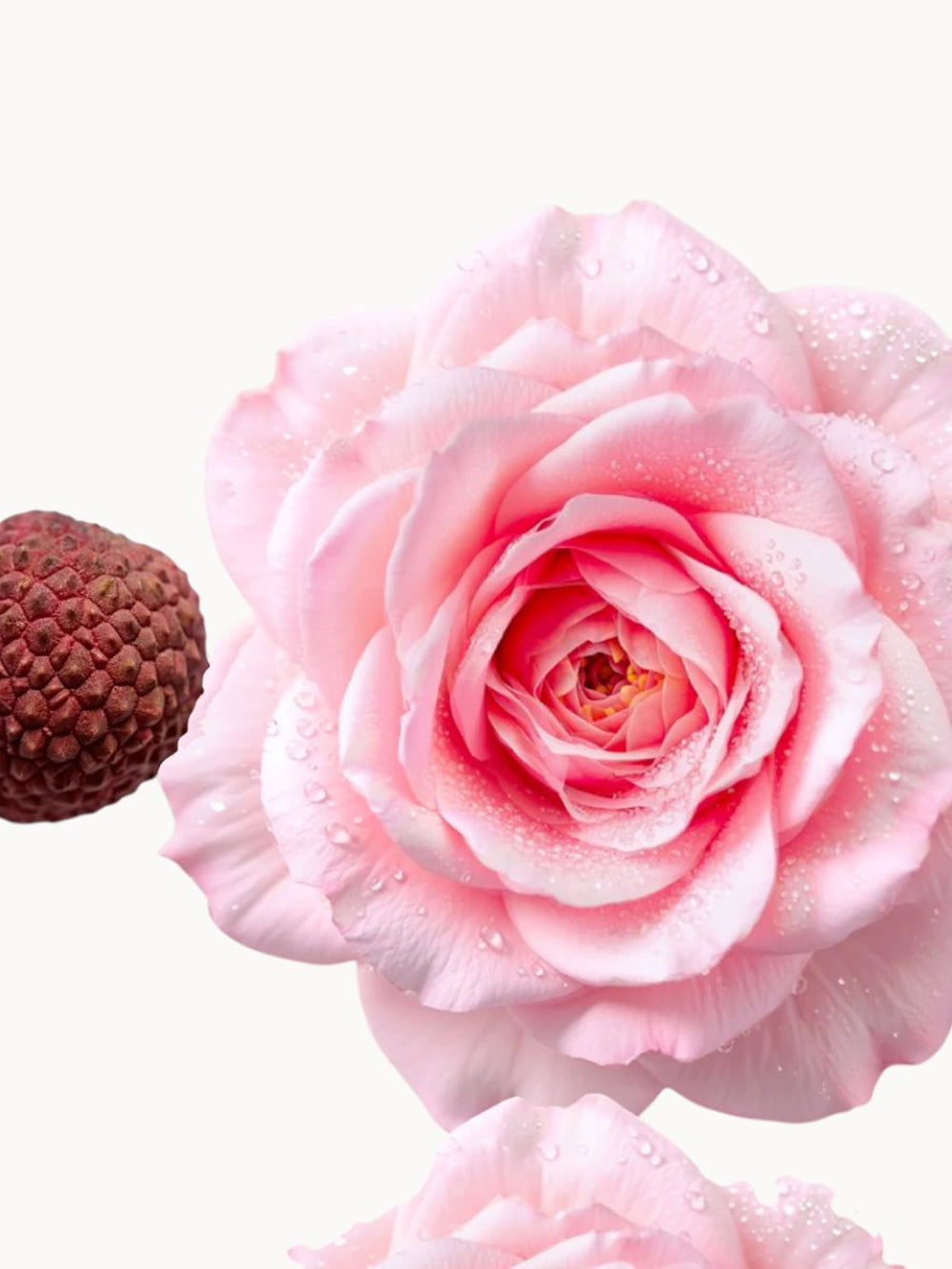 Delina La Rosée Eau de Parfum