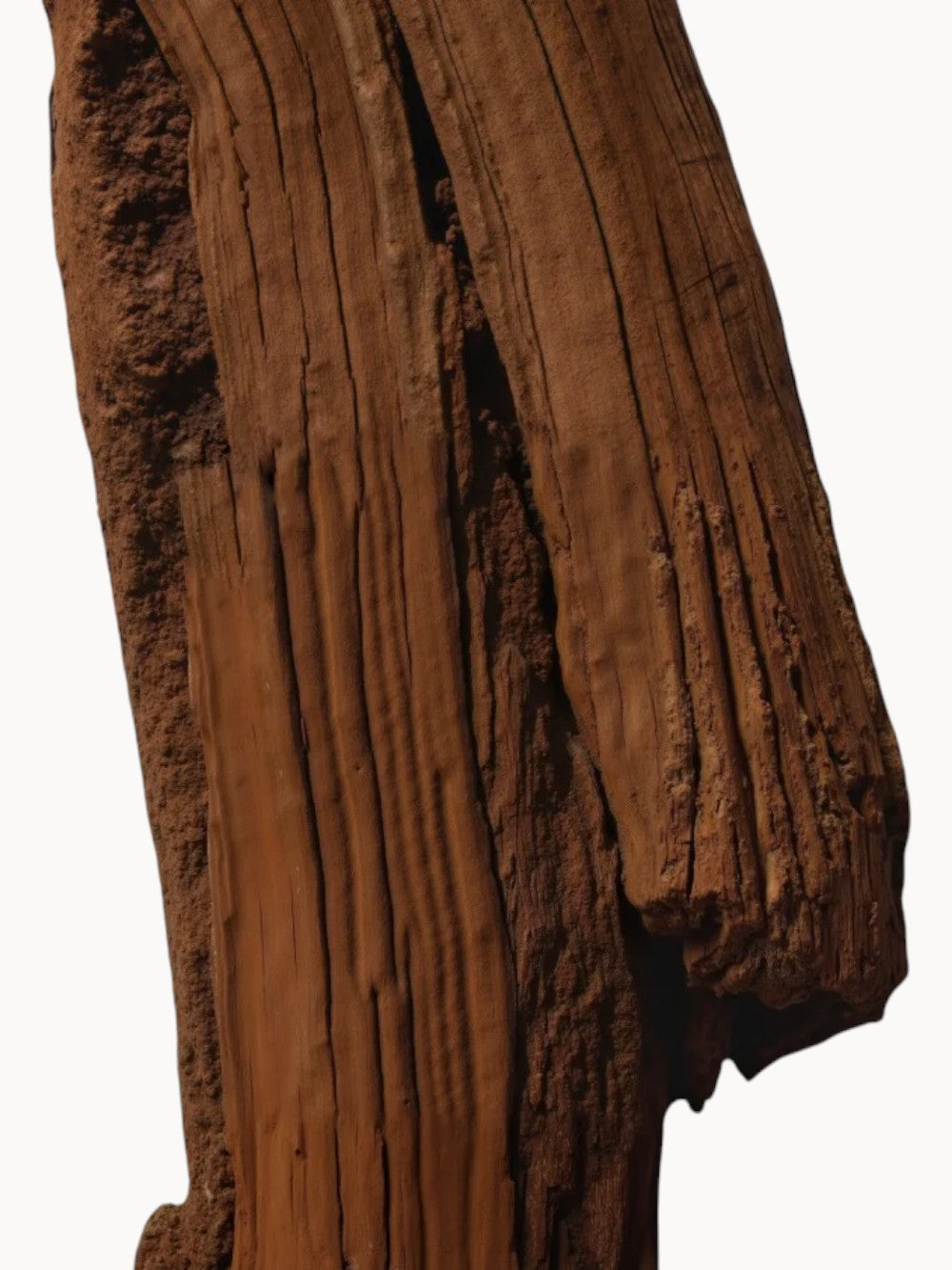 Haltane Eau de Parfum