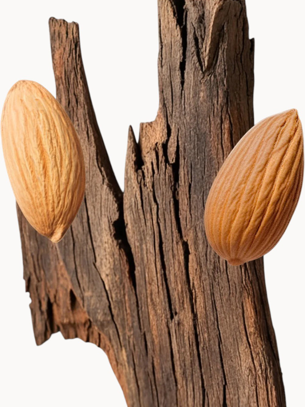 Pegasus Exclusif Eau de Parfum