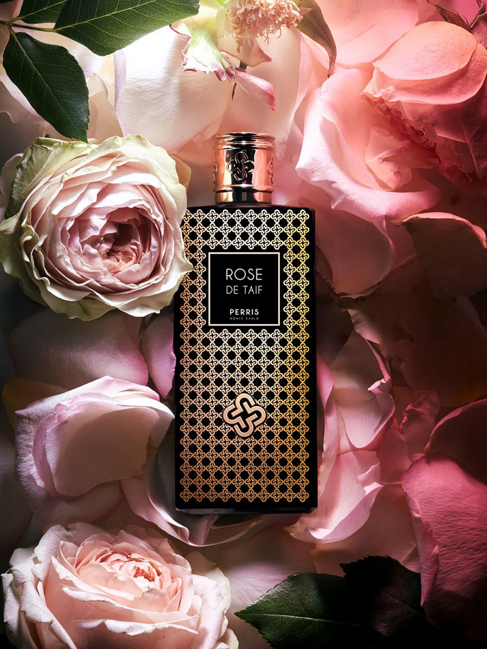 Rose de Taif