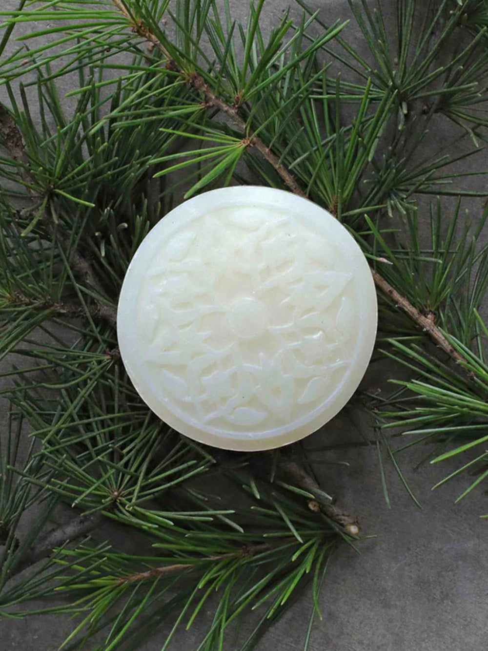 Ma'amoul Cedar of Lebanon