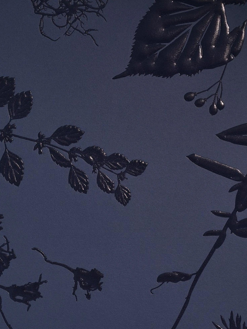 Team Dr. Joseph Adventskalender 2025