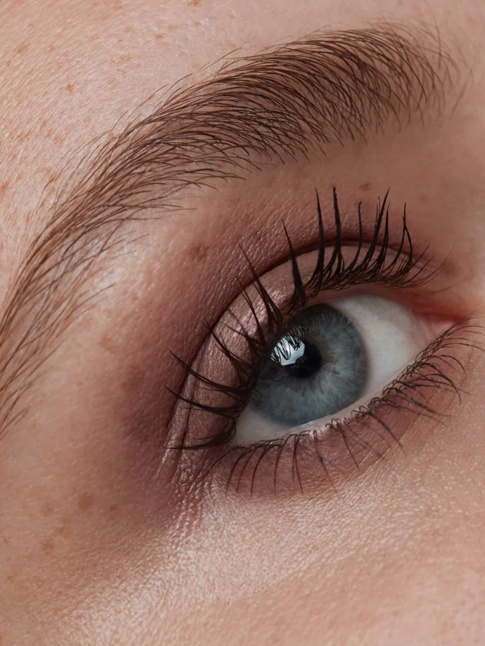 IMBE Eye Shadow