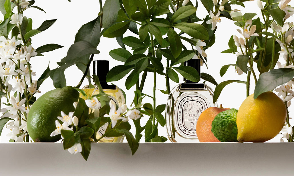 DIPTYQUE Zitrisch