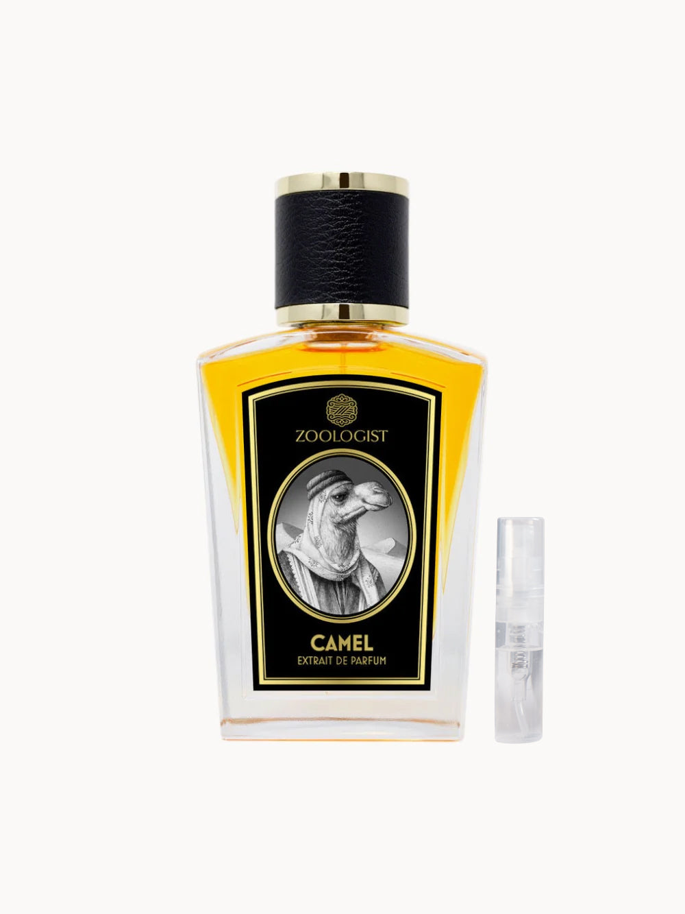 Camel