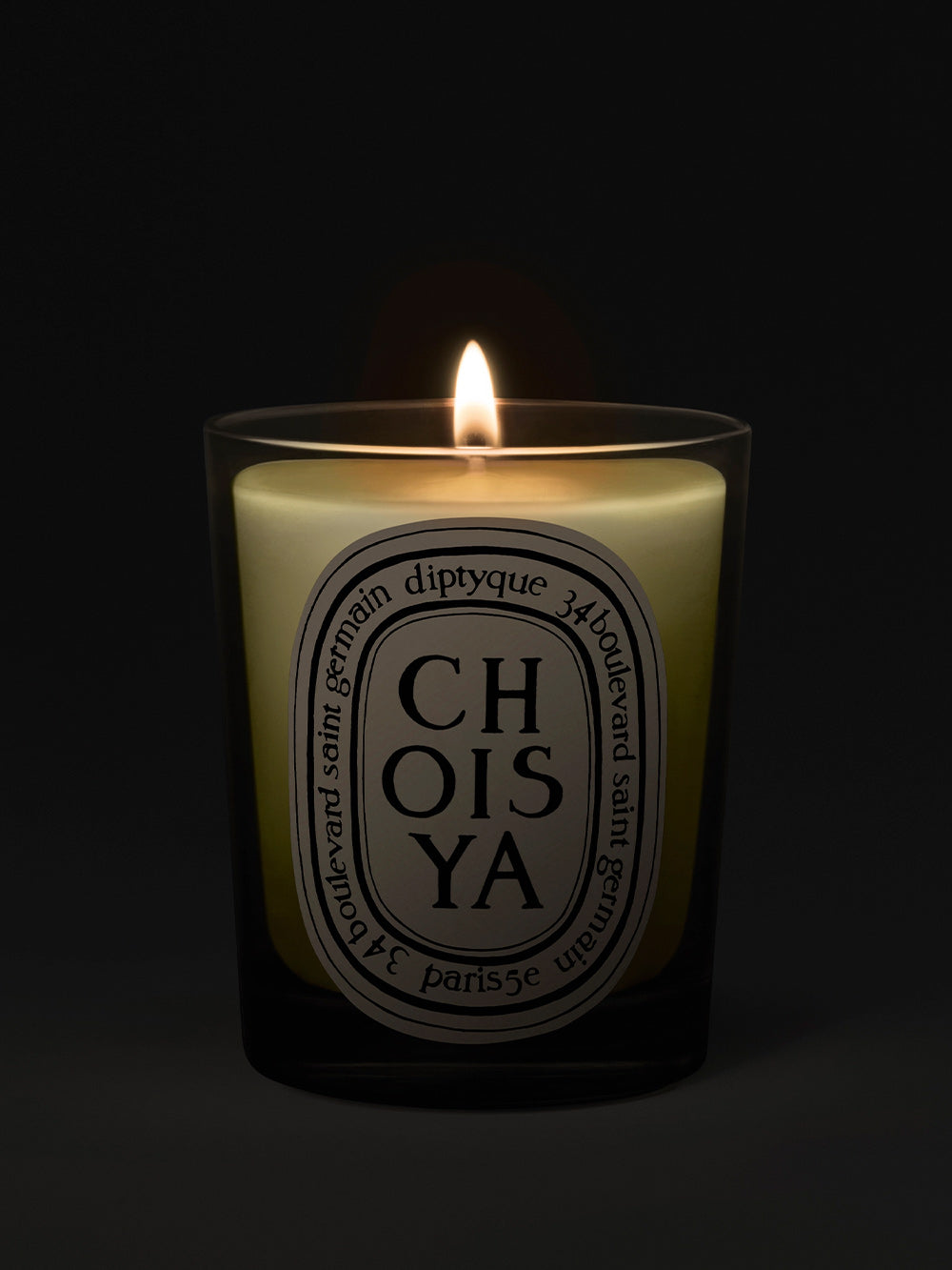 Kerze Choisya