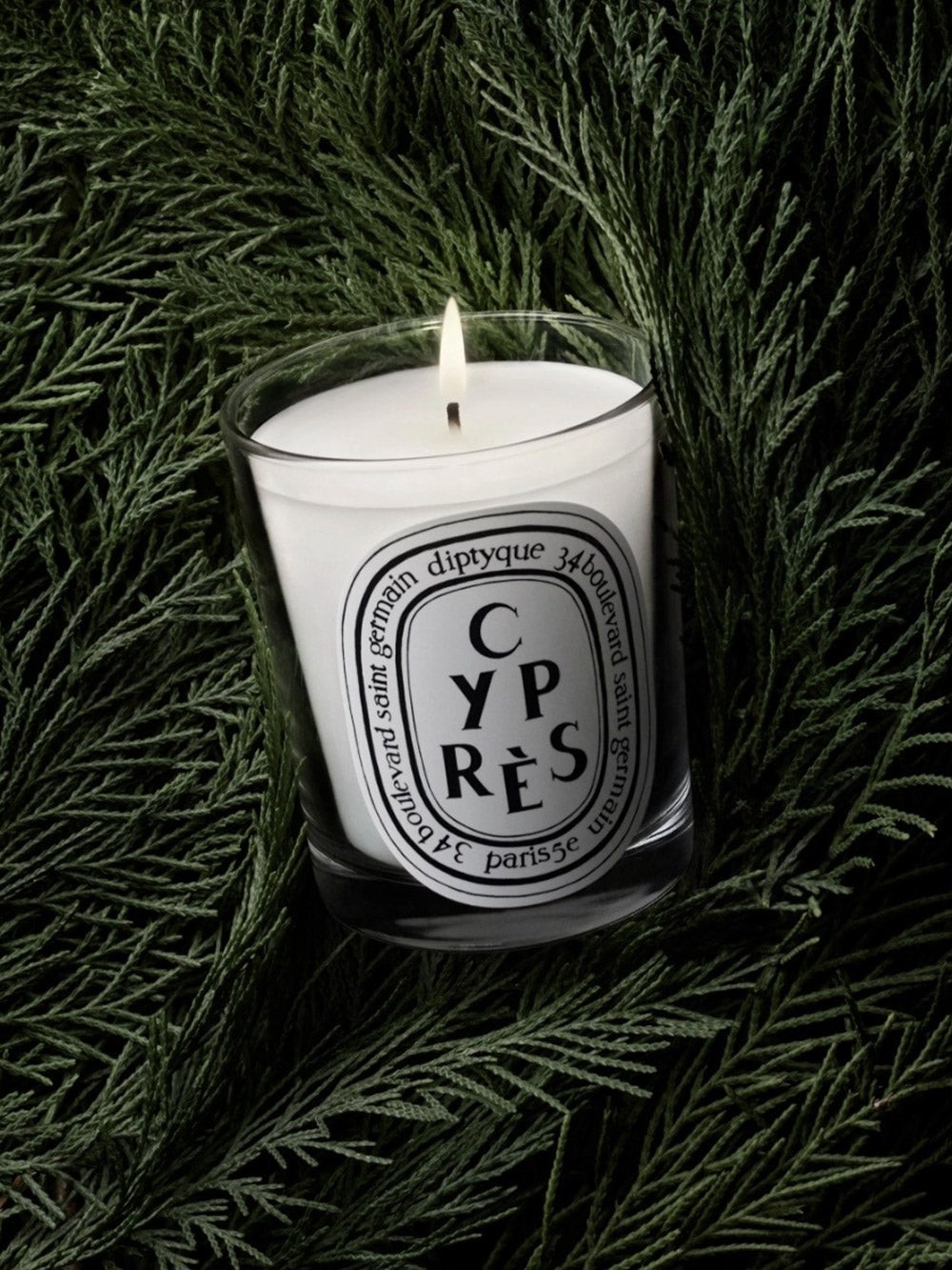 Kerze Cyprès