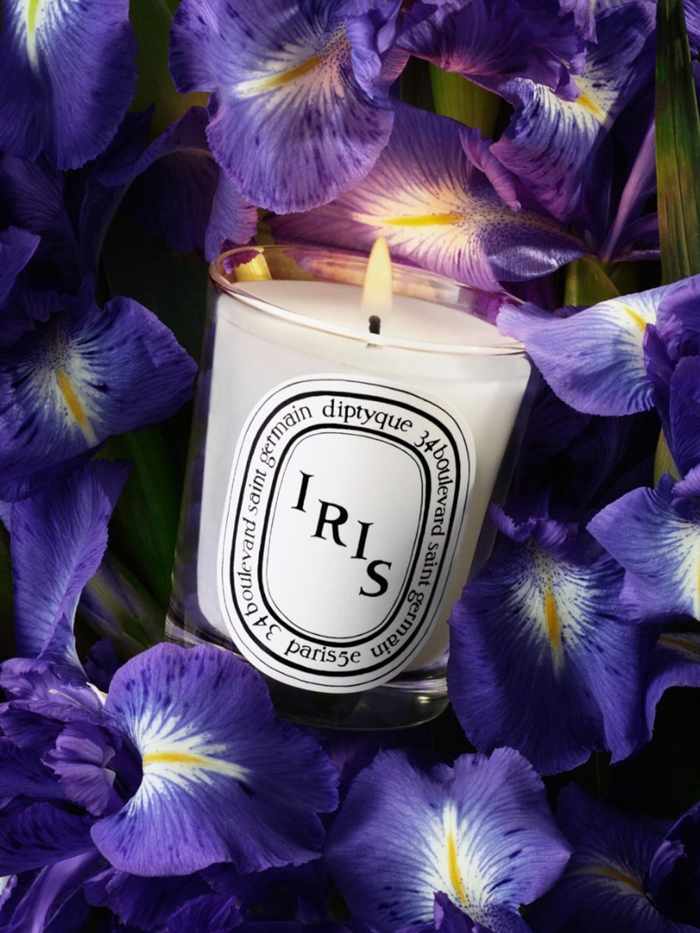 Kerze Iris