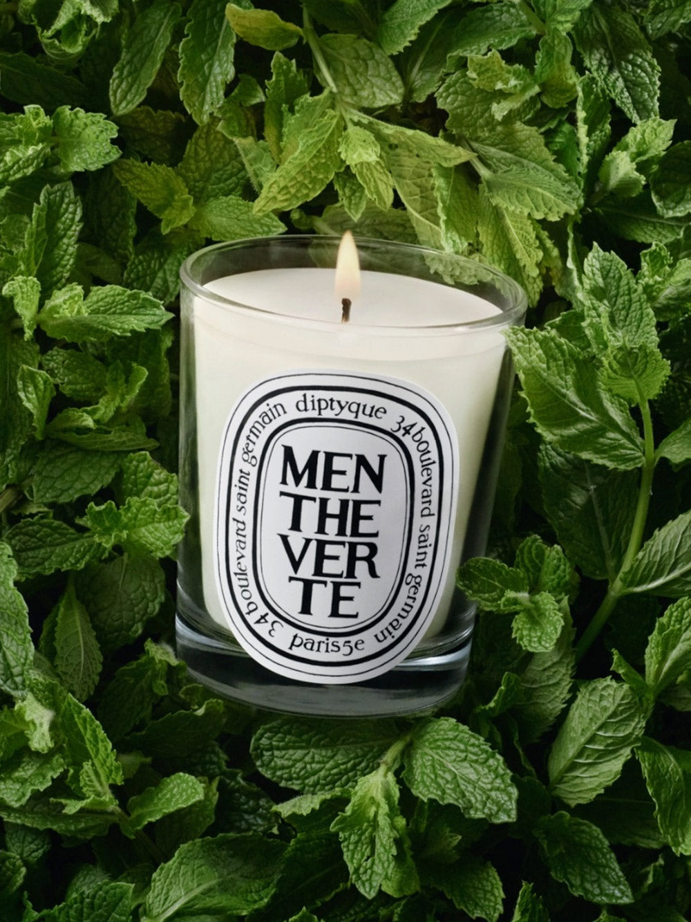 Kerze Menthe Verte