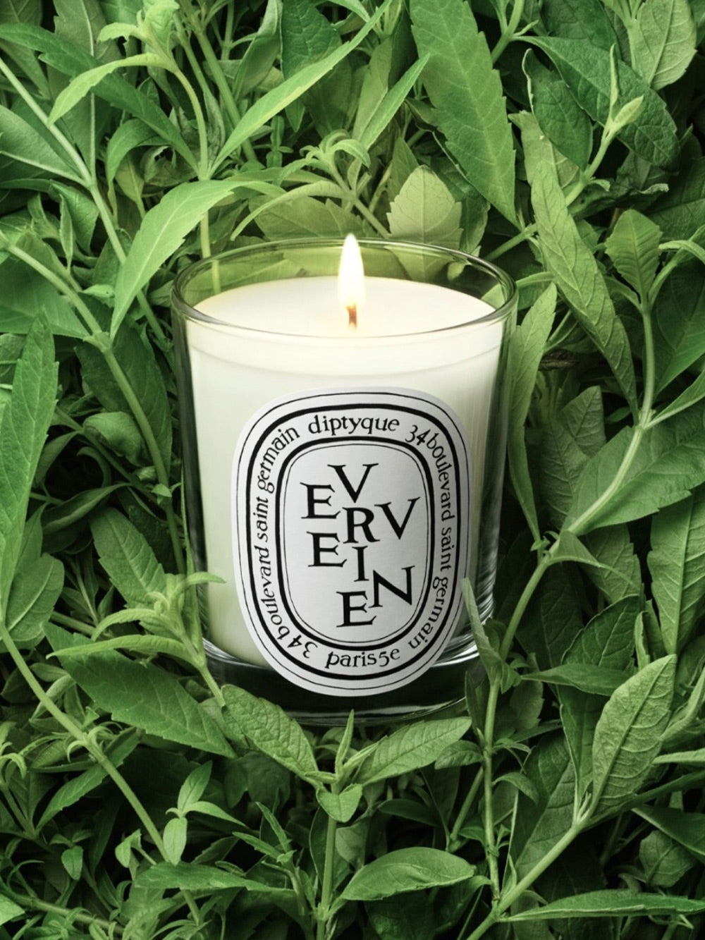 Kerze Verveine