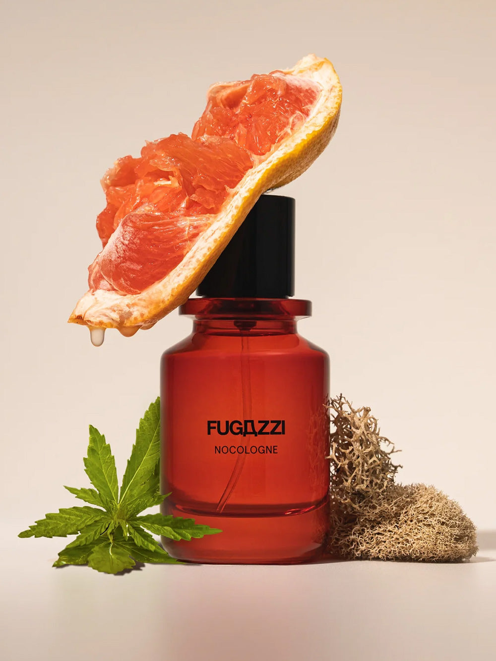 Nocologne Extrait de Parfum 50 ml