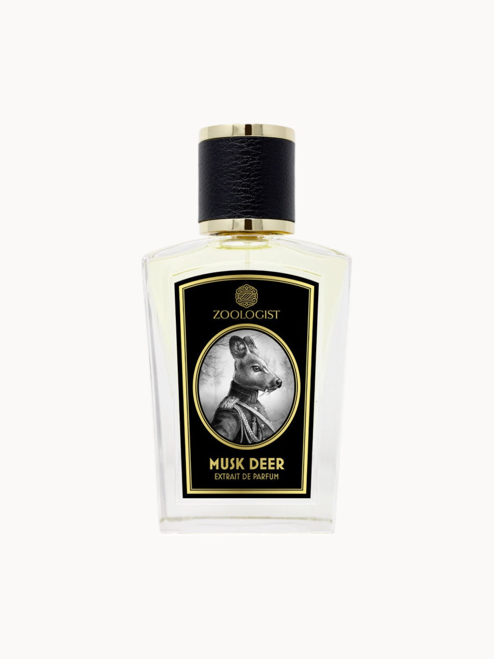 Cervo muschiato 