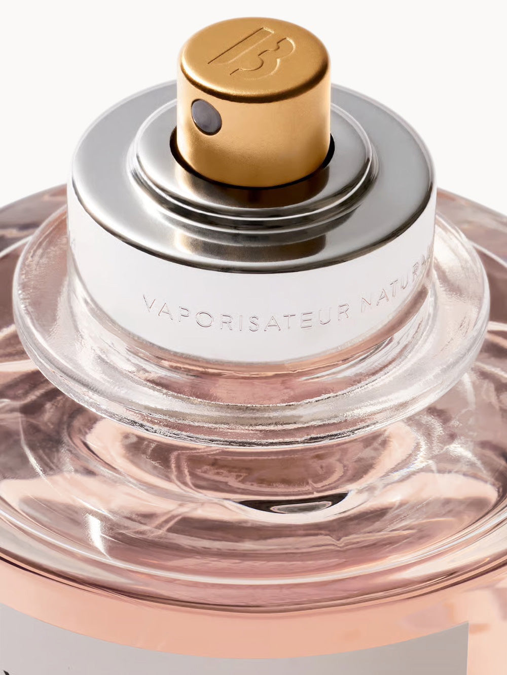 Rose of No Man's Land Absolu