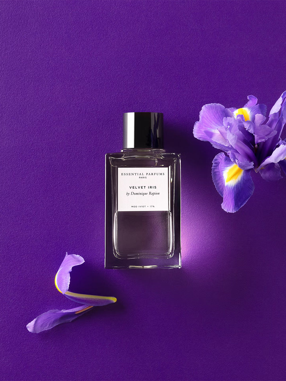 Velvet Iris