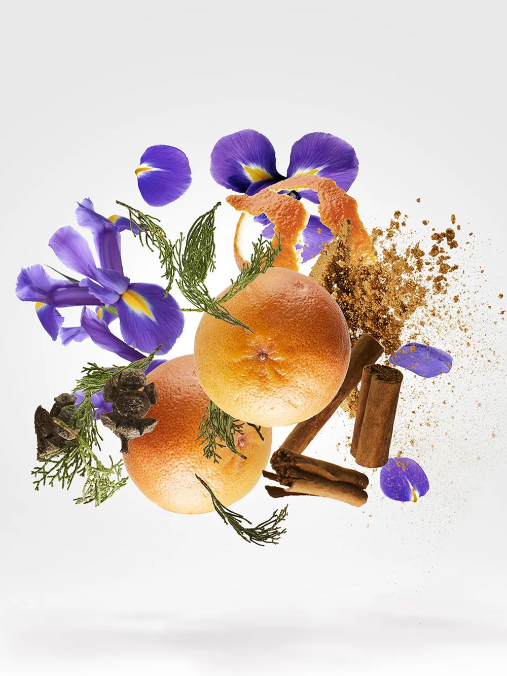 P.33 Sketchbook - Blank Page Edition