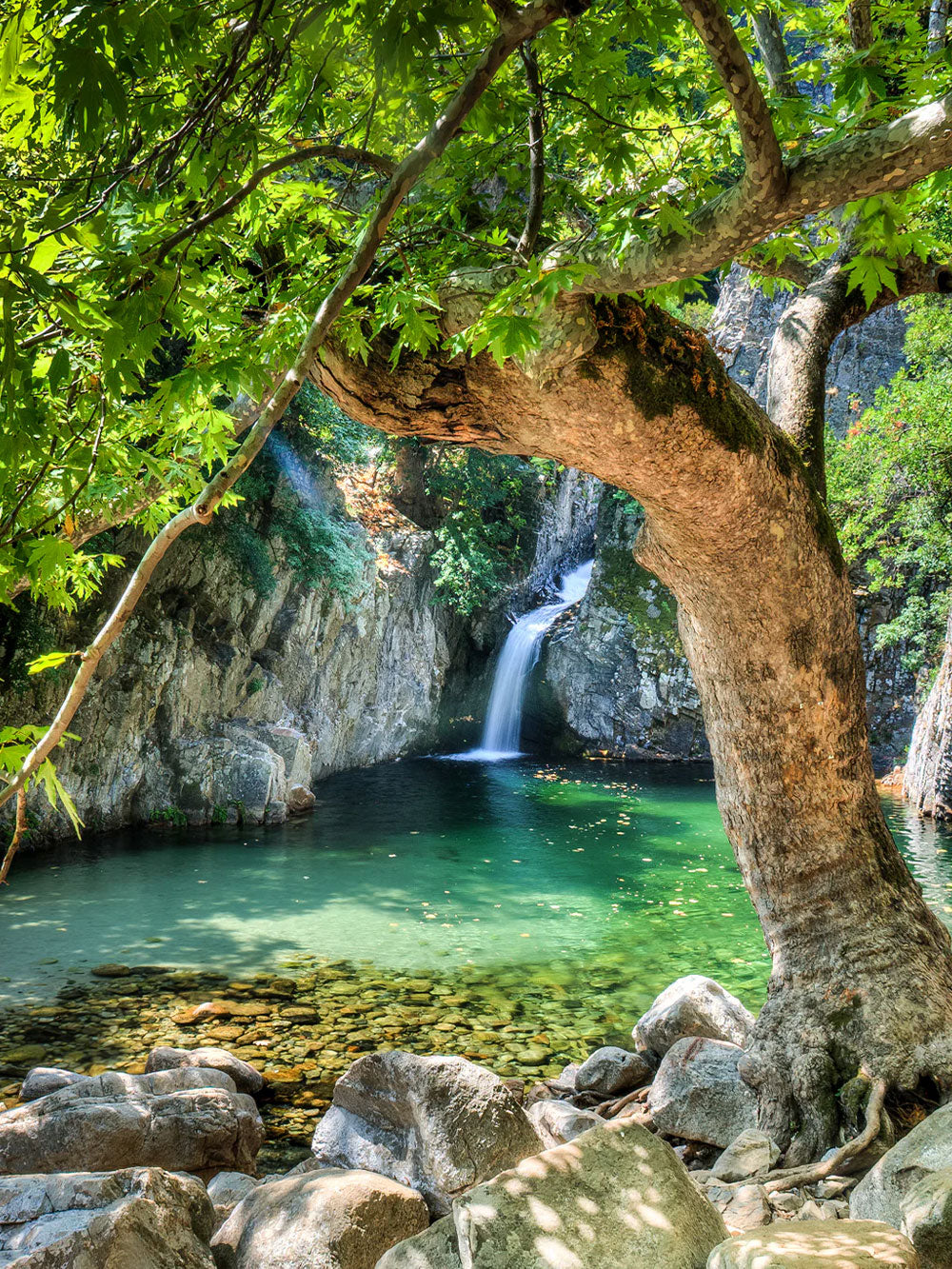 les dieux aux bains Eau de Parfum